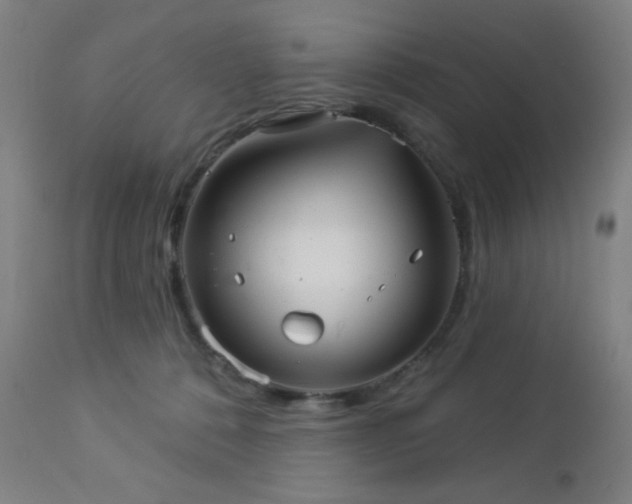 X0000112960320200908271123