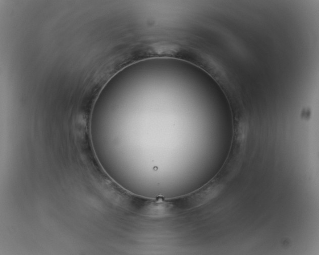 X0000112960321200908271123