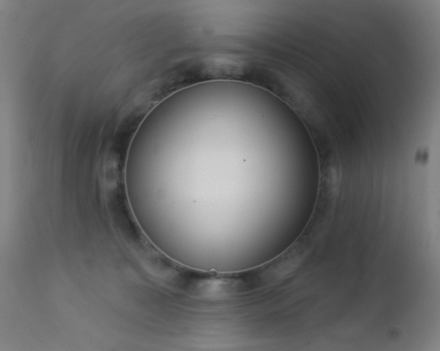 X0000112960323200908271123