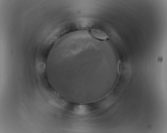 X0000112960324200908271123