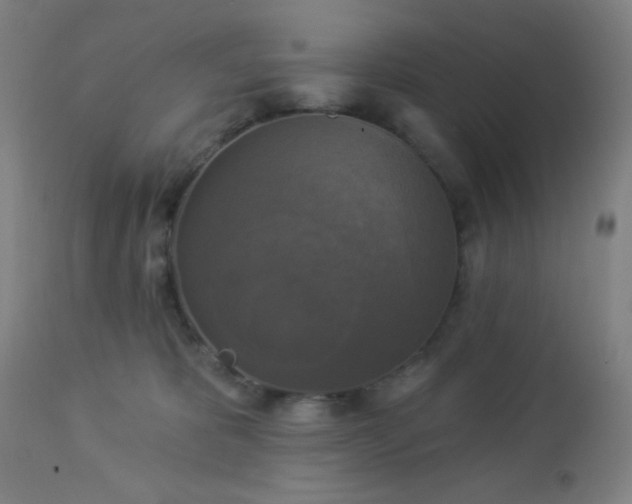 X0000112960325200908271123