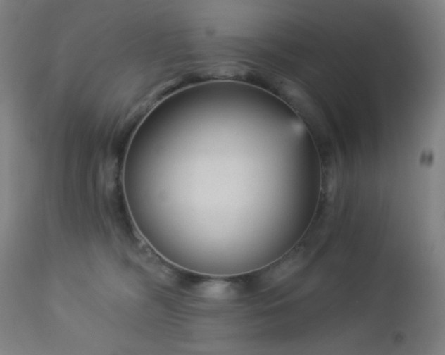 X0000112960326200908271123