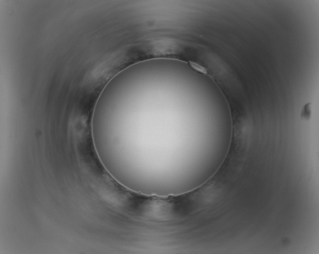 X0000112960327200908271123