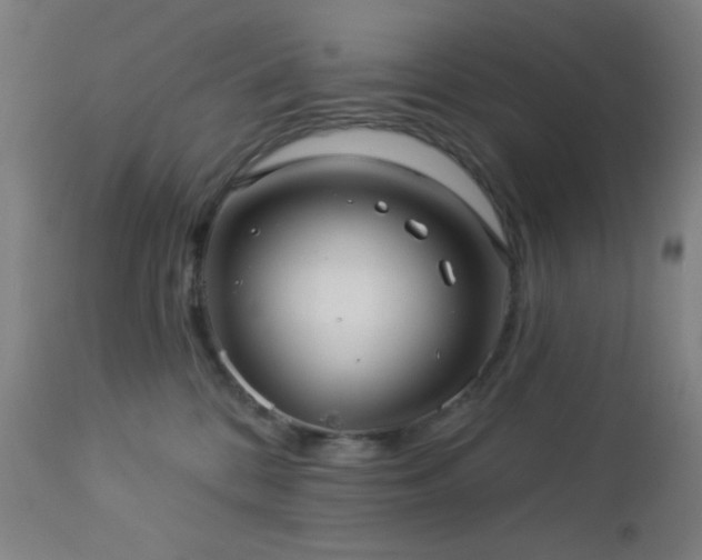 X0000112960328200908271123