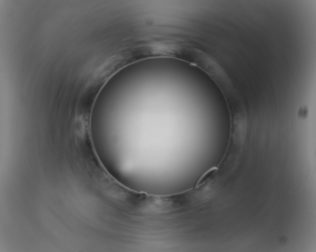 X0000112960329200908271123