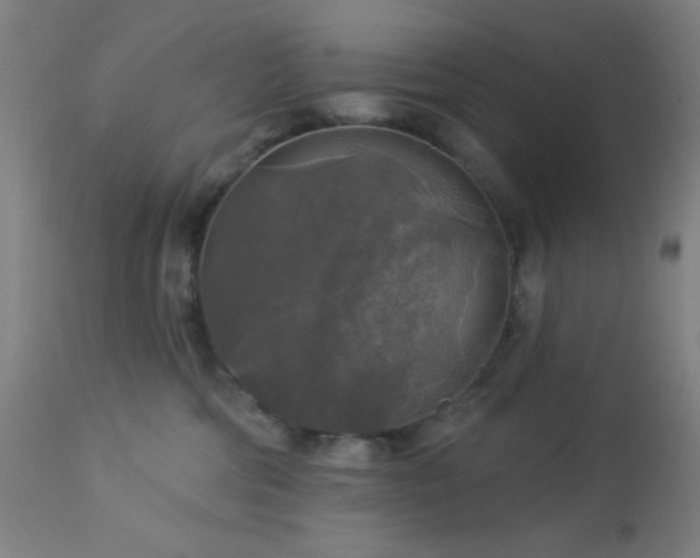 X0000112960330200908271123