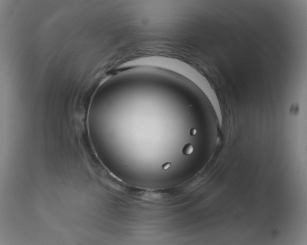 X0000112960332200908271123