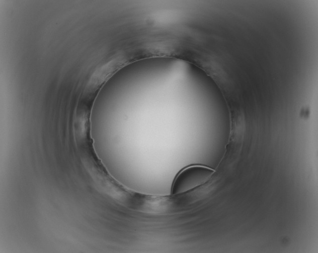 X0000112960334200908271123