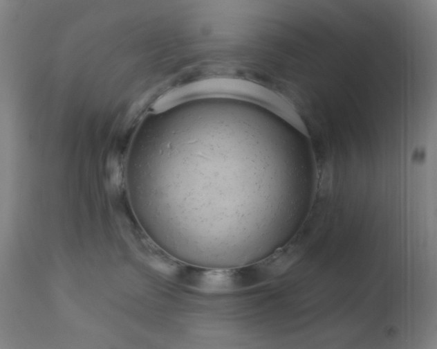 X0000112960335200908271123