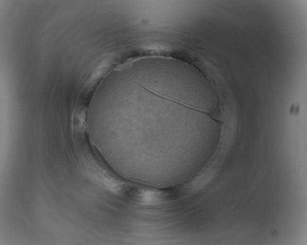 X0000112960336200908271123