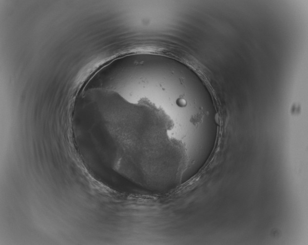 X0000112960337200908271122