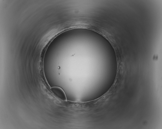 X0000112960338200908271122