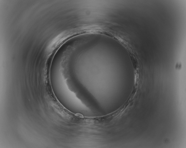 X0000112960339200908271122