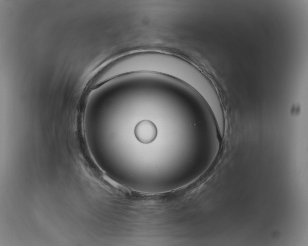 X0000112960344200908271122