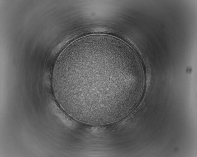 X0000112960345200908271122