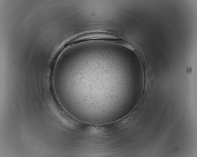 X0000112960346200908271122