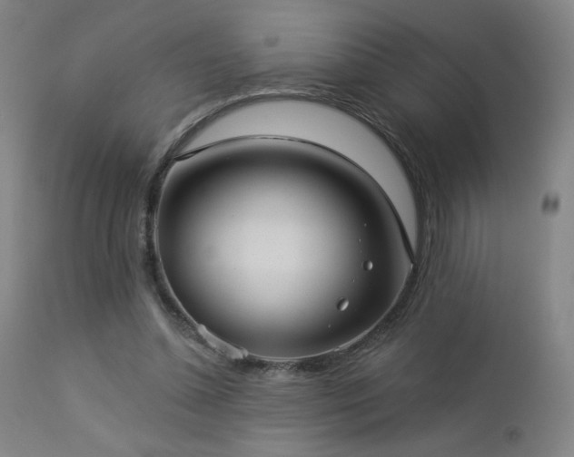 X0000112960348200908271122