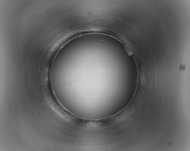 X0000112960350200908271122