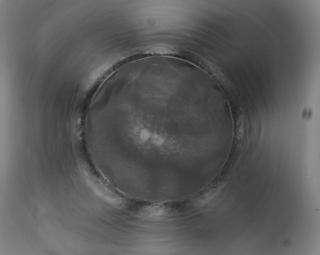 X0000112960351200908271122