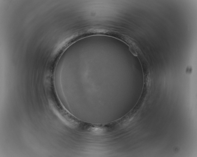 X0000112960352200908271122