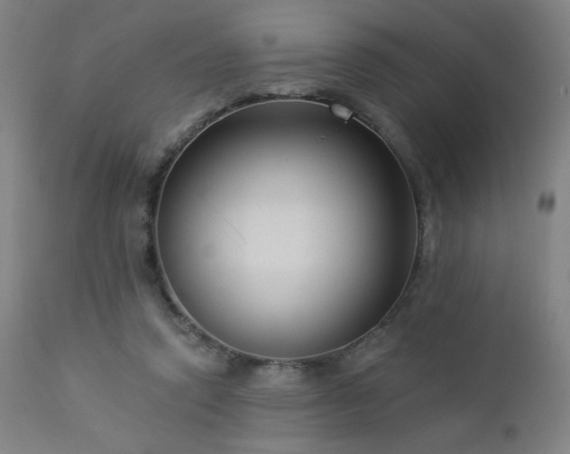 X0000112960354200908271122