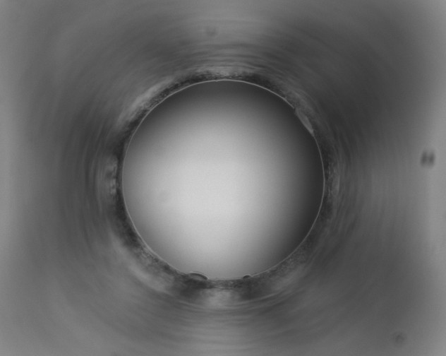 X0000112960356200908271122