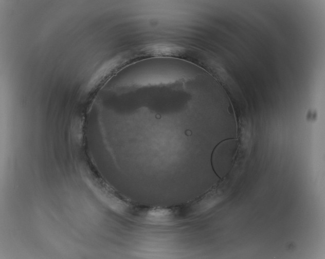 X0000112960357200908271122