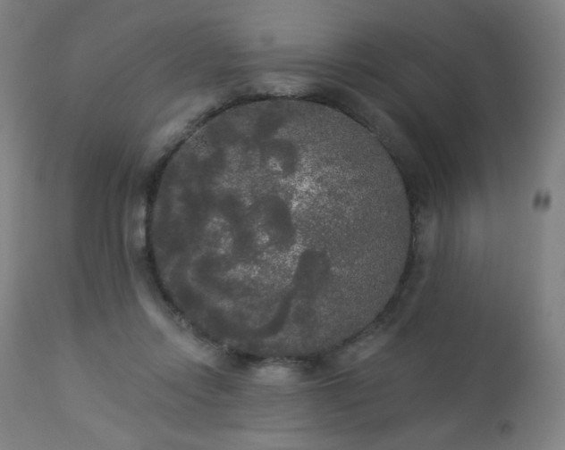 X0000112960358200908271122