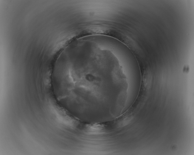 X0000112960359200908271122