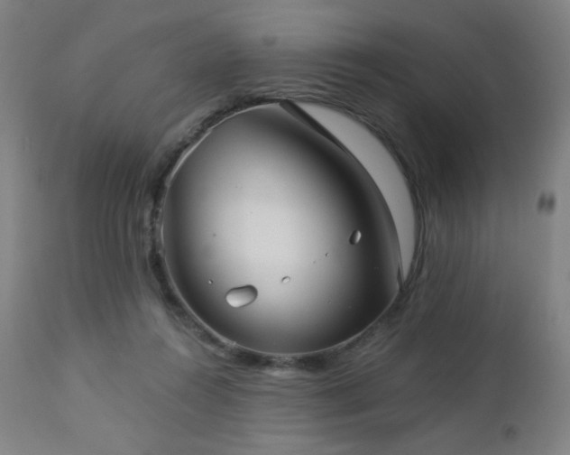 X0000112960360200908271122