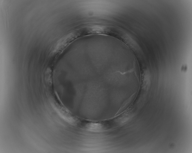 X0000112960361200908271122