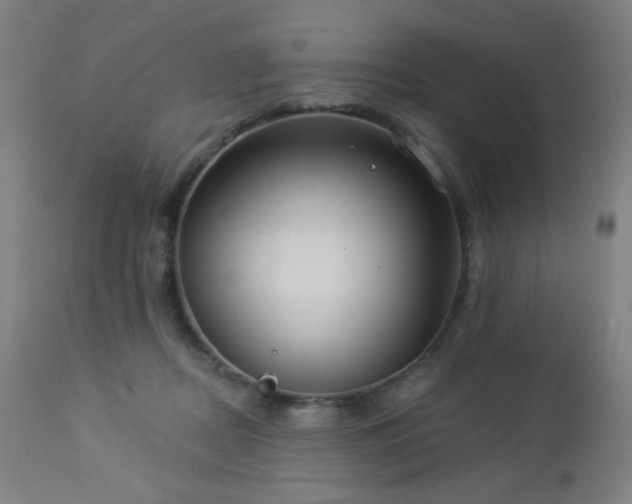 X0000112960362200908271122