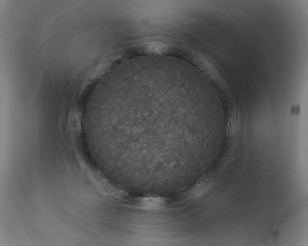 X0000112960363200908271122