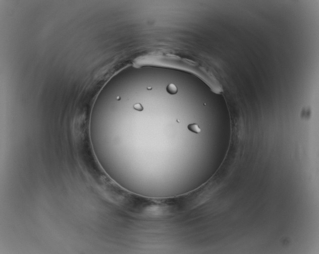 X0000112960364200908271122