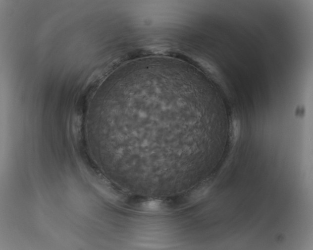 X0000112960365200908271122