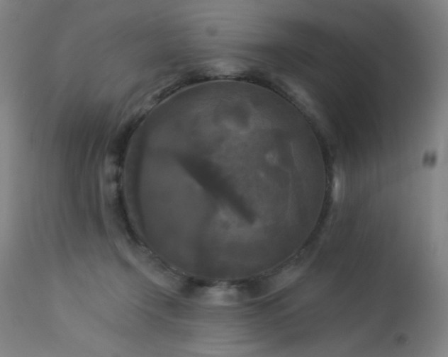 X0000112960366200908271122