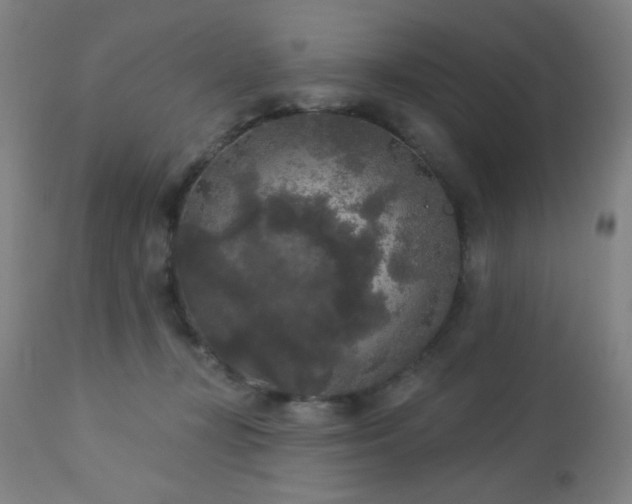 X0000112960367200908271122