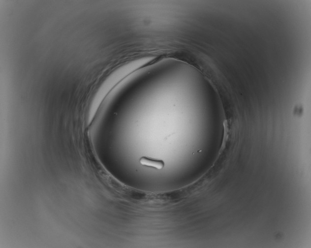 X0000112960368200908271122