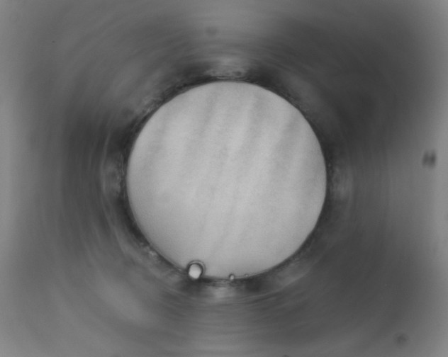 X0000112960370200908271122