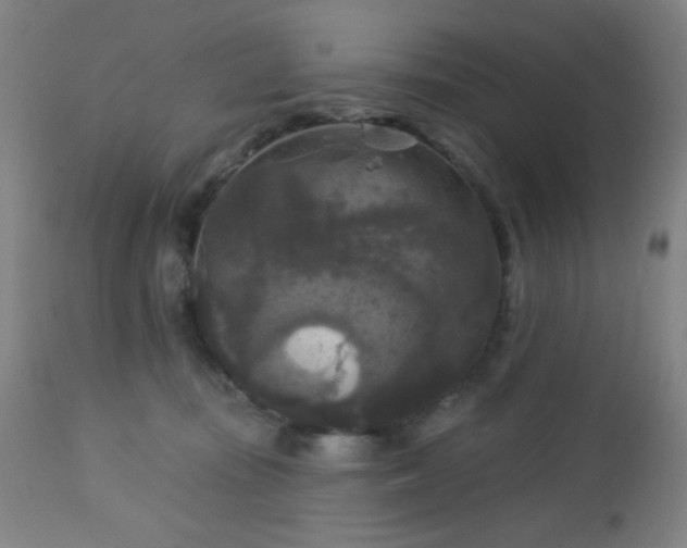 X0000112960371200908271122