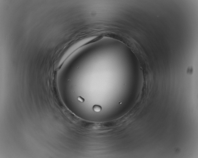 X0000112960372200908271122