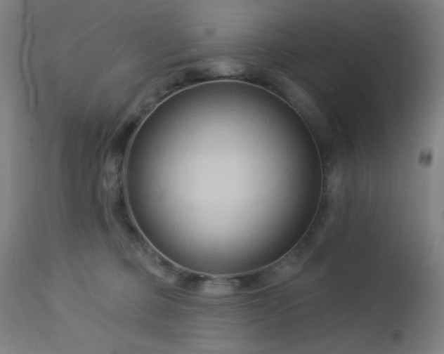 X0000112960373200908271122