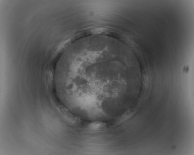 X0000112960375200908271122