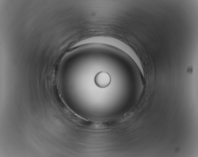 X0000112960376200908271122