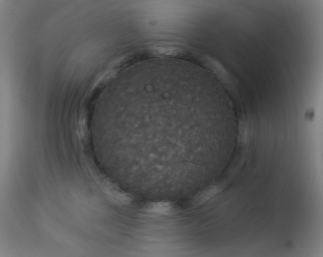 X0000112960377200908271122