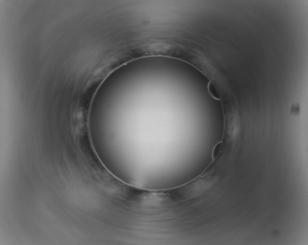 X0000112960378200908271122