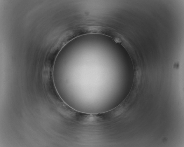 X0000112960379200908271122