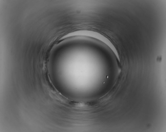 X0000112960380200908271122