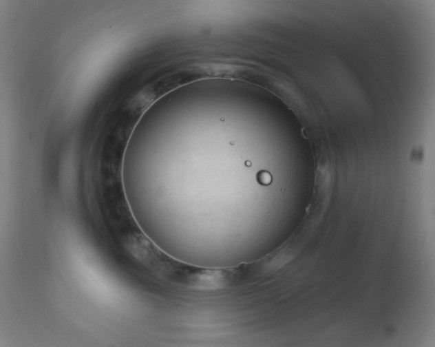 X0000112960381200908271122