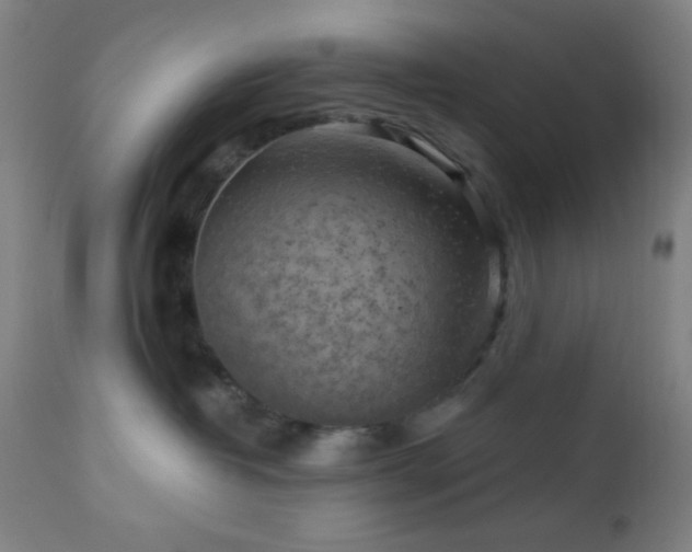 X0000112960382200908271122